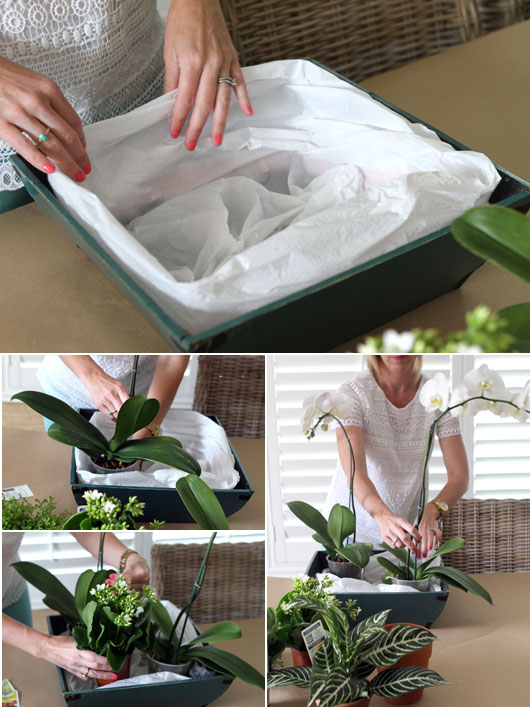 DIY-orchid-centerpiece-step-1