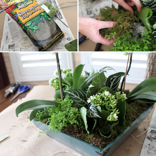 DIY-orchid-centerpiece-step-5
