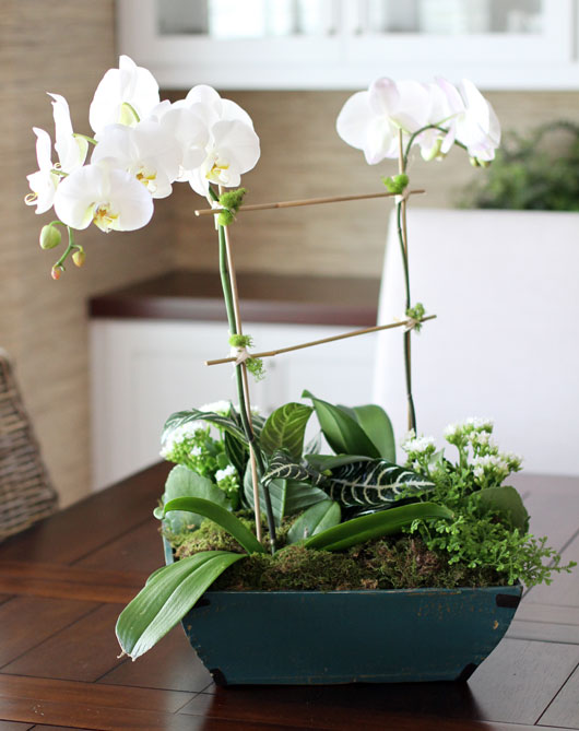 DIY Orchid Centerpiece