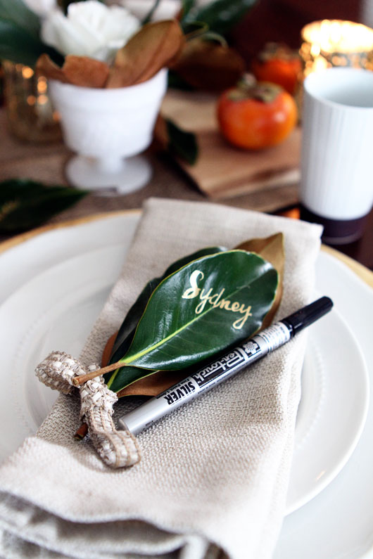 thankful-notes-on-leaves