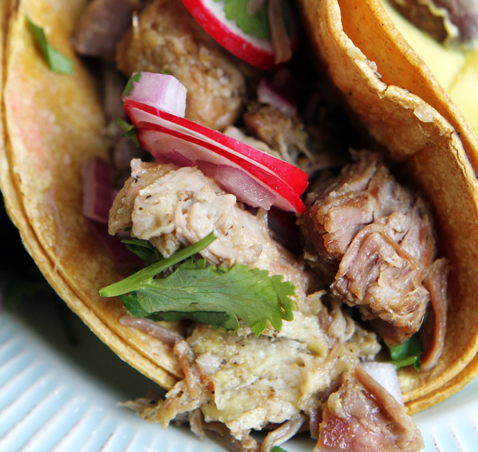 braised carnitas tacos5